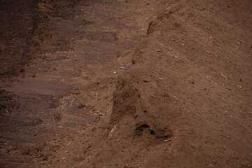 large brown peat piles can be seen in the peat extraction bog.