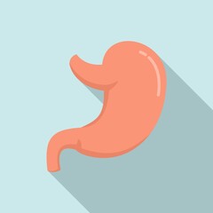 Healthy stomach icon, flat style