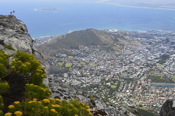 Fototapeta na wymiar Cape Town city from above in the summer