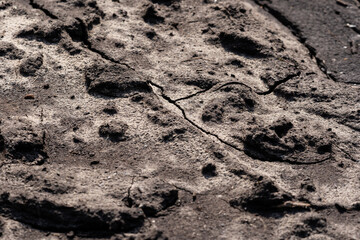 the muddy road is dry in the sun and plays an interesting pattern and imprints