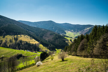 Fototapeta na wymiar Germany, Schwarzwald mountains and valley nature landscape panorama view above the forested green scenery in spring