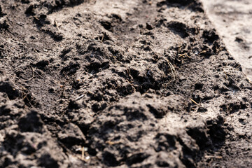 the muddy road is dry in the sun and plays an interesting pattern and imprints
