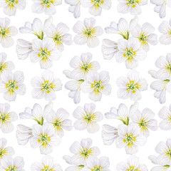 Seamless pattern with delicate spring flowers painted in watercolor.
