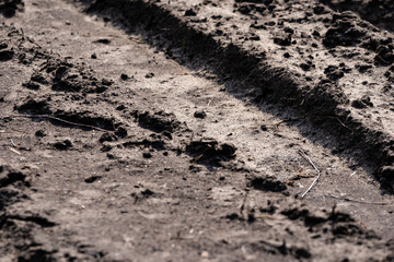 the muddy road is dry in the sun and plays an interesting pattern and imprints