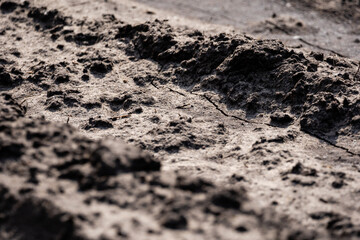 the muddy road is dry in the sun and plays an interesting pattern and imprints