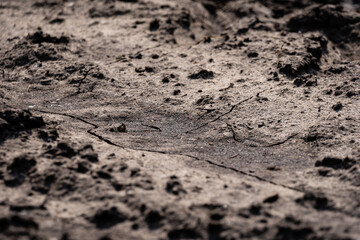 the muddy road is dry in the sun and plays an interesting pattern and imprints