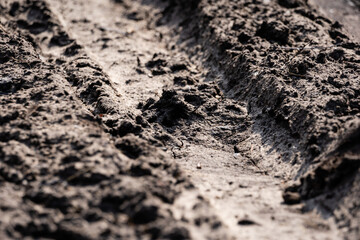 the muddy road is dry in the sun and plays an interesting pattern and imprints