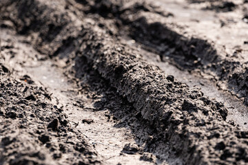 the muddy road is dry in the sun and plays an interesting pattern and imprints