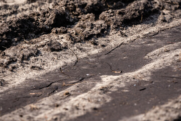 the muddy road is dry in the sun and plays an interesting pattern and imprints