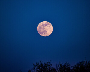 Pink Moon © Günther Melzer