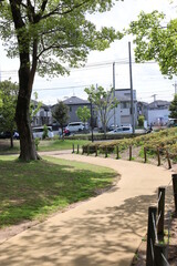 公園と緑葉