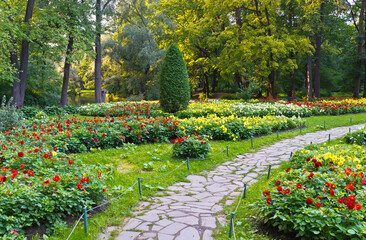 Fototapeta premium St. Petersburg in the summer. A beautiful city park on Elagin Island with walking paths between flower beds with bright dahlias and shady alleys near the pond. Rest from the bustle of the city