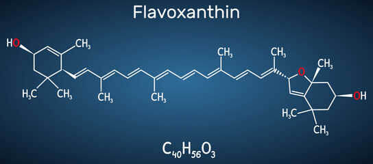 Flavoxanthin molecule. It is xanthophyll golden-yellow color pigment, food additive, E161a. Structural chemical formula on the dark blue background