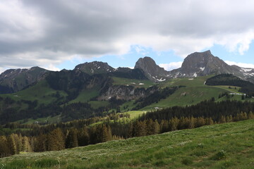 Naklejka premium Gurnigel view