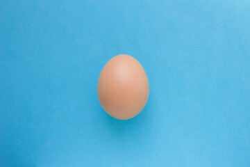 One chicken egg on a blue background