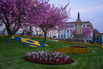 Barnsley Town Hall Memorial Garden with Spring Vibrant Flowers During Blue Hour . High quality photo