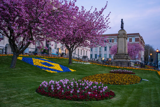 Barnsley Town Hall Memorial Garden with Spring Vibrant Flowers During Blue Hour . High quality photo
