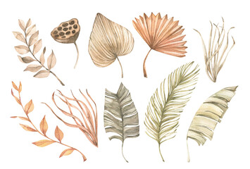 Watercolor dried tropical leaves, gentle flowers and pampas. Botanical floral design elements. Beige, green, orange palm leaves. Perfect for wedding invitations, packaging, greetings cards.