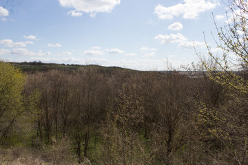 Obraz premium Nature, landscapes, sky, sun, all the most beautiful.