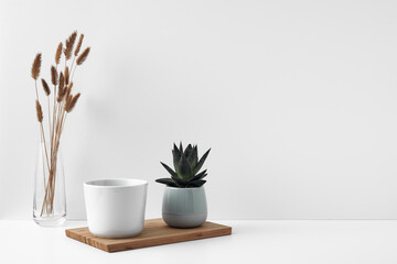 Mug on a wooden stand, house plant, vase. Eco-friendly materials in the decor of the room, minimalism. Copy space, mock up.