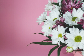 Bouquet of white chrysanthemums on a pink background. A delicate festive floral arrangement.