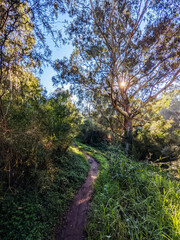 Yarra Trails in Melbourne Australia