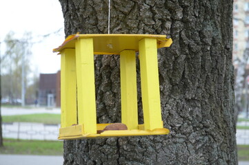 bird feeder in the park