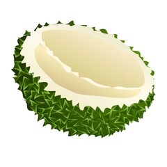 Borneo durian icon, cartoon style