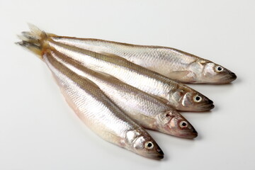 Fresh smelt fish on a white background, Small fish on a white plate. Smelt fishes (European smelt) isolated on white