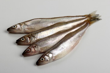 Fresh smelt fish on a white background, Small fish on a white plate. Smelt fishes (European smelt) isolated on white