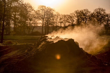 Ein Landwirtschaftlicher Misthaufen,  der in der Morgensonne dampft