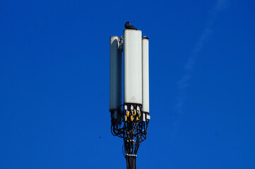 A cell phone mast on a house roof in Frankfurt, with pigeons.