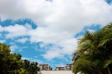 clouds over the city