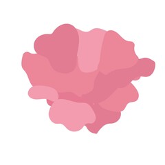 Abstract simple pink flower. Vector illustration islolated in white