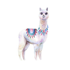 Watercolor hand painted alpaca with traditional accessories. Cute illustration for design of children’s goods and decor: textile, wallpaper, posters, dishes, stationary, wrapping and so on.