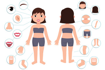 Parts of the body. Girl body front view and rear view. Vector illustration of Human Body. 