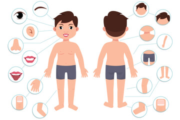 Parts of the body. Boy body front view and rear view. Vector illustration of Human Body. 