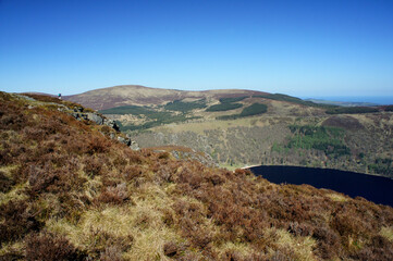 Spring day near Lake Tay in the Wicklow Mountains, Ireland.