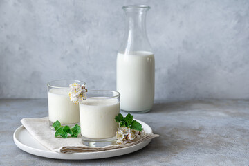 Natural, healthy milk drink-yogurt, kefir, lassi, in two glasses on a gray background with greenery...