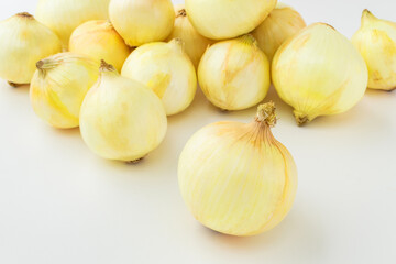 新タマネギ（4月撮影）