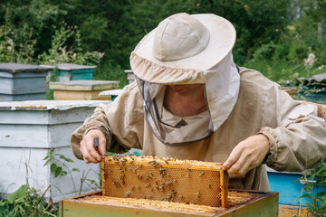 Beekeeper works with bees in the apiary