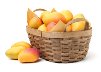 Mango on a white background