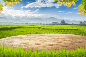 Wooden table top with blurry rice plantation landscape againt blue sky soft clouds with leaves frame