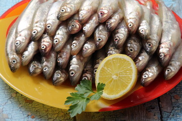 Lots of fresh smelt fish on a colorful plate and wooden background with old blue color, Smelt fishes (European smelt) with lemon and green parsley, Group of fresh smelt fish 