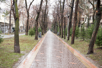 the asphalt in the park is wet from the rain