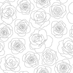 Seamless roses flower black and white lineart background