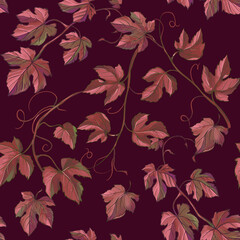 Grape seamless pattern. Botanical illustration. Background design