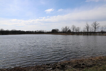 lake in the forest
