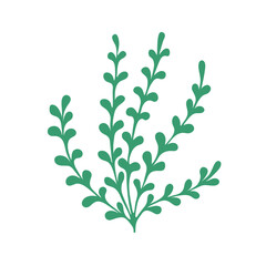 Sprig on a white background. Nature doodle. Isolated vector illustration with green leaves. Leaves are a separate element.