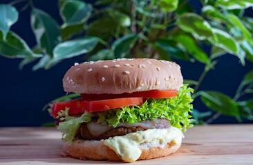 Hamburger on a cutting board. Side view.